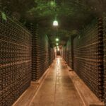 Descubra as vinícolas no Chile mais imperdíveis para visitar durante sua estadia no Chile. Conheça a tradição vitivinícola do país.